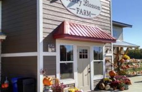 Country Blossom Farm