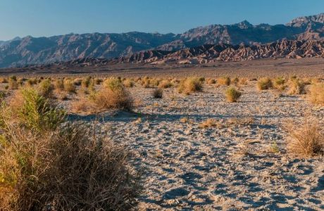 Grapevine Mountains