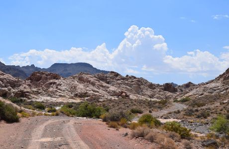 Bitter Springs Trail