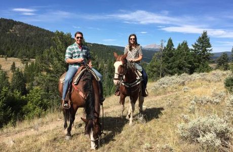 Jake's Horses