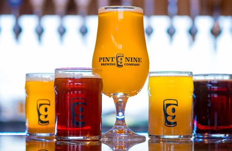 Pint Nine Brewing Company