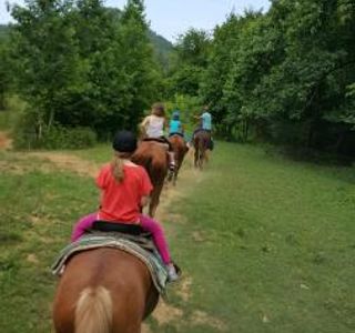 GoldRush Stables & Carriage Rides