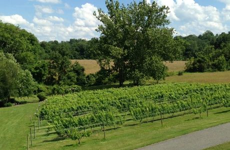 Manatawny Creek Winery