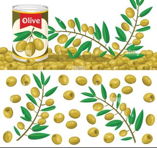 The Olive Branch