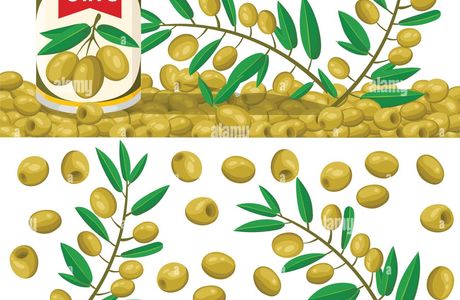 The Olive Branch