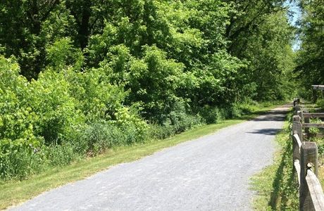 Lower Trail