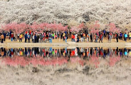 Yuyuantan Park