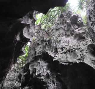 Stone Forest of Chongzuo