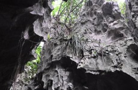 Stone Forest of Chongzuo