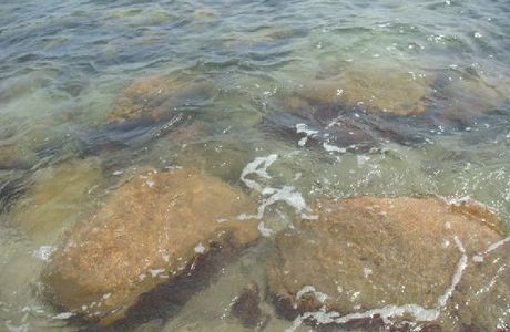 Sea Turtle Reserve Area