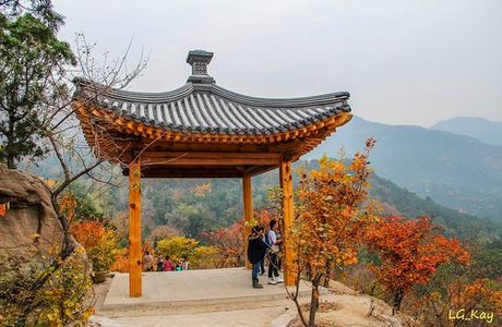 Fragrant Hills Park (Xiangshan Gongyuan)