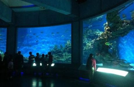 Polar Ocean World Wuhan