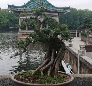 Donghu Tingtao Scenic Area