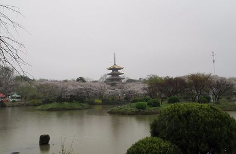 Donghu Scenic Resort