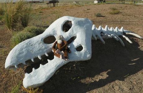 Dinosaur Museum of Erenhot.