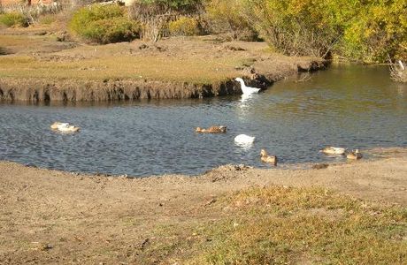 Taifeng Lake