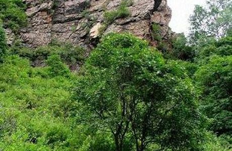 Maojing Dam Forest Park