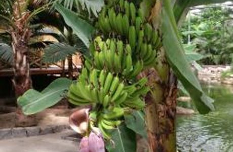 Jiutian Leisure Valley