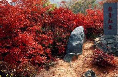 Huancui Valley Scenic Area