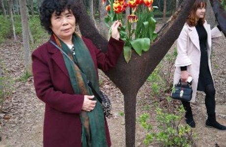 Kaiyuan Forest Park