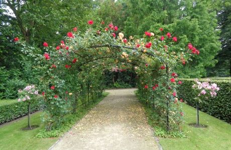 Jardin des Roses
