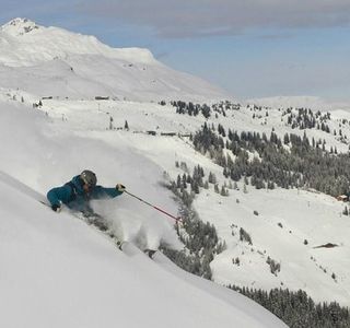 Whiteguides Skiing