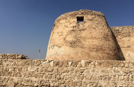 Arad Fort