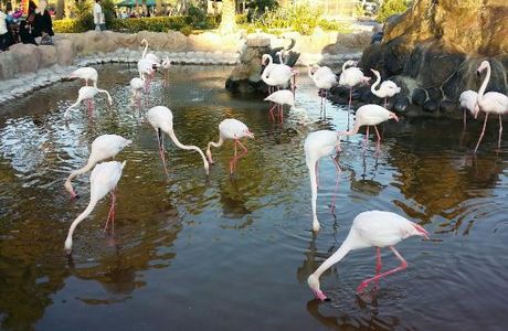 Al Areen Wildlife Park & Reserve