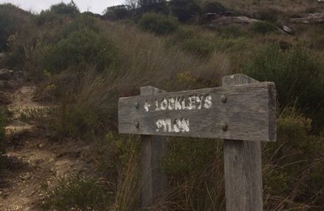 Lockleys Pylon Walking Track