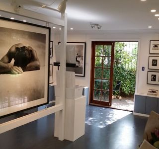 Light & Shadow Fine Art Gallery