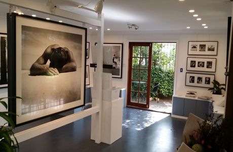 Light & Shadow Fine Art Gallery