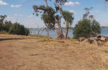 Kyffins Reserve