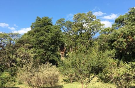 Reserva Natural Senderos del Monte