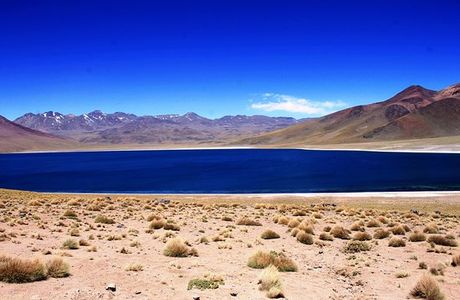 Lagunas Miscanti y Miniques