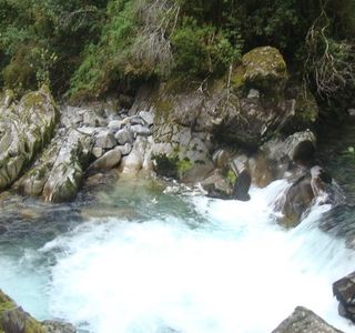 Puyehue National Park