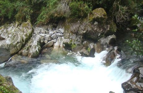 Puyehue National Park