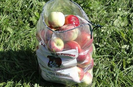 Verger La Magie De La Pomme