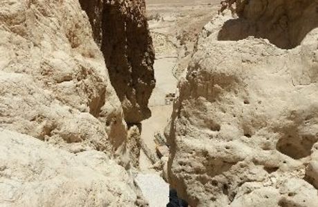 Nahal Tamar