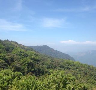 Pushpagiri Wildlife Sanctuary