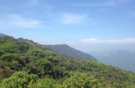 Pushpagiri Wildlife Sanctuary