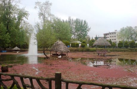 Mellat Park