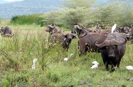 Bojagh National Park
