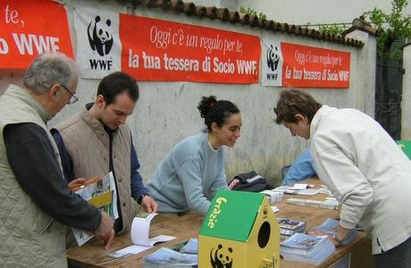 Bosco Wwf di Vanzago