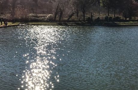 Lago Felloniche dal Garnadone