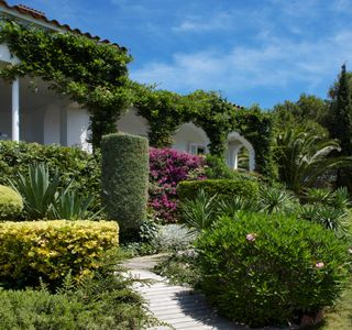 Mediterranean Garden