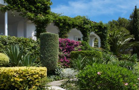 Mediterranean Garden