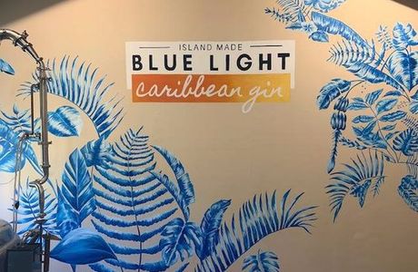 Blue Light Distillery
