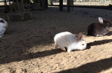 Tierpark Wolgast