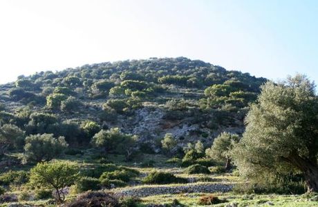 Acropolis of Alalkomenes