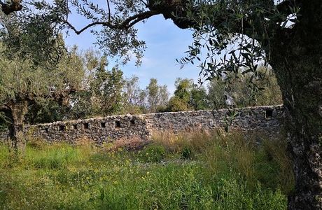 Verga wall